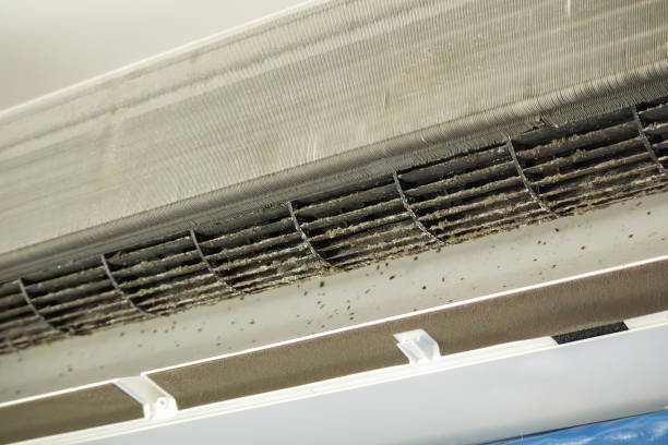 Best Affordable HVAC Duct Cleaning  in Tallahassee, FL